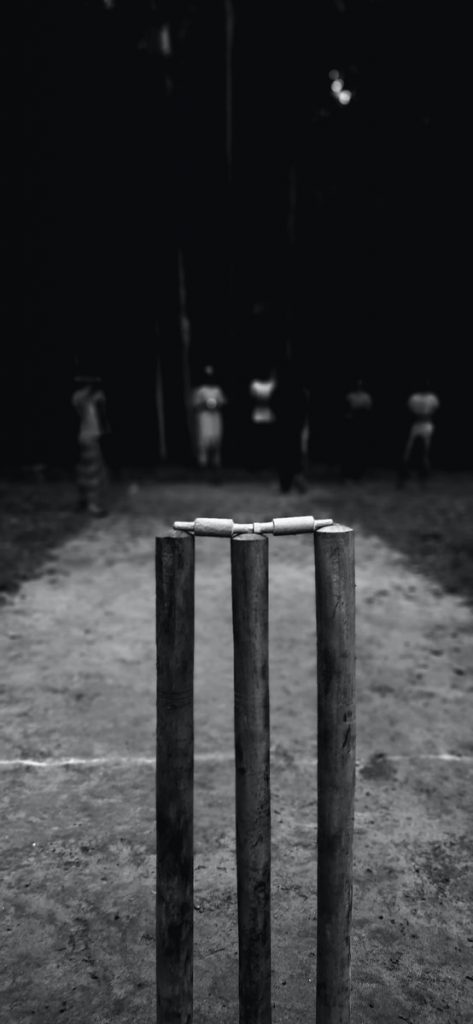 grayscale photo of wooden poles